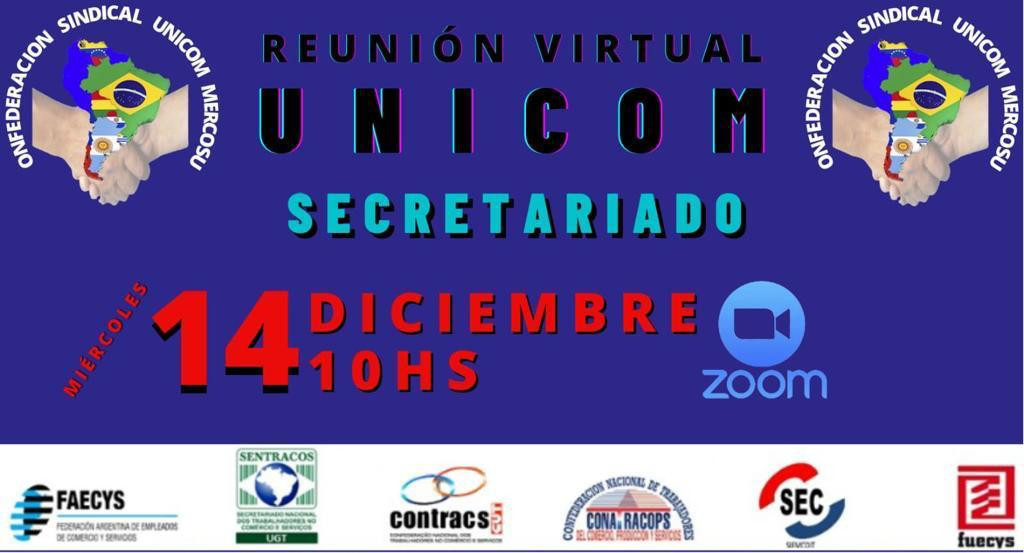 Reunião virtual secretariado UNICOM