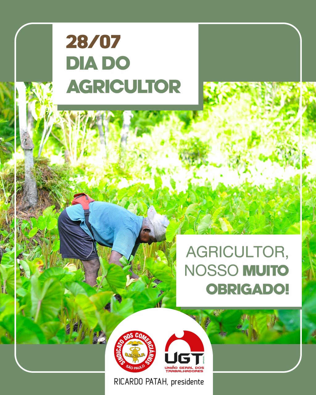 28 de julho: Dia do Agricultor
