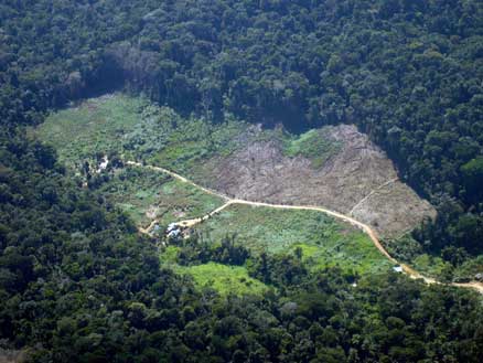 Ocupação da Amazônia preocupa  UGT